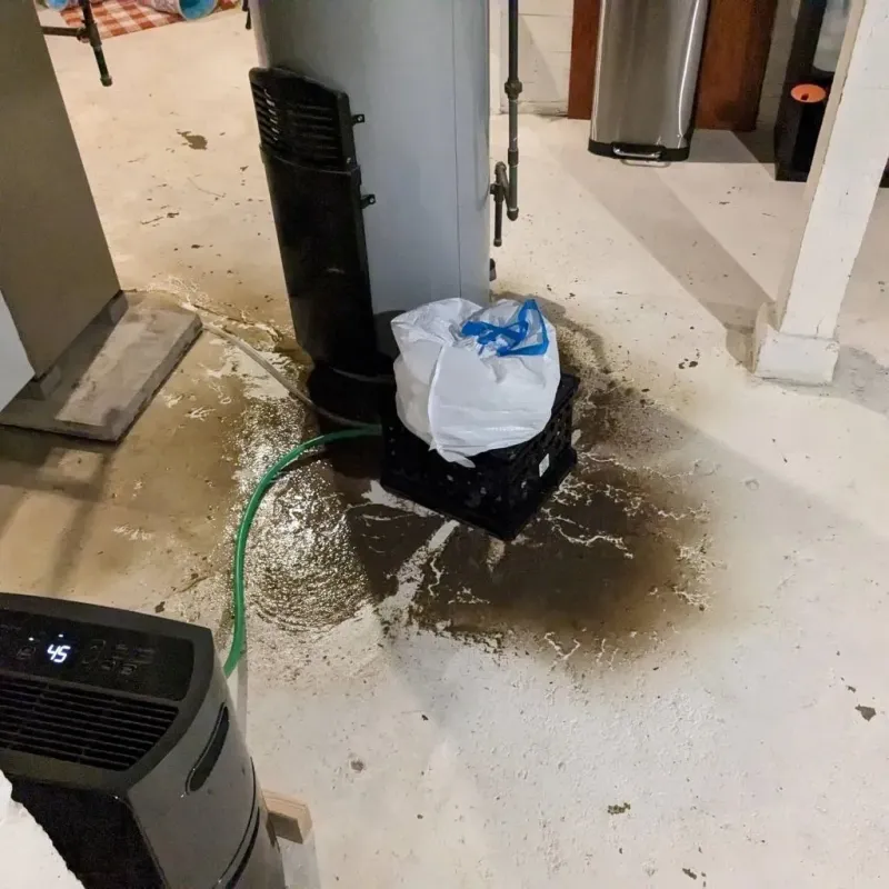 Sewage Backup Cleanup Service in Silverton, TX